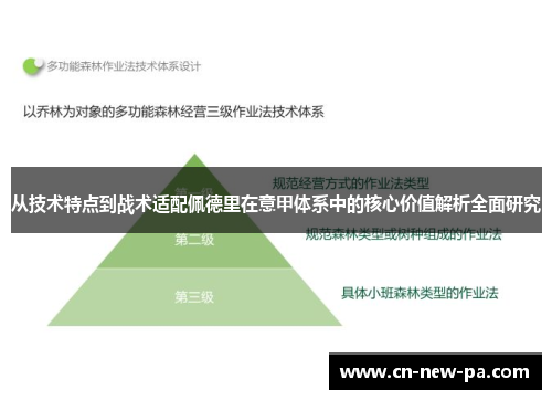 从技术特点到战术适配佩德里在意甲体系中的核心价值解析全面研究